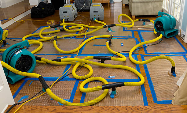 Professional Flood Damage Restoration technician working in Colorado Springs, CO
